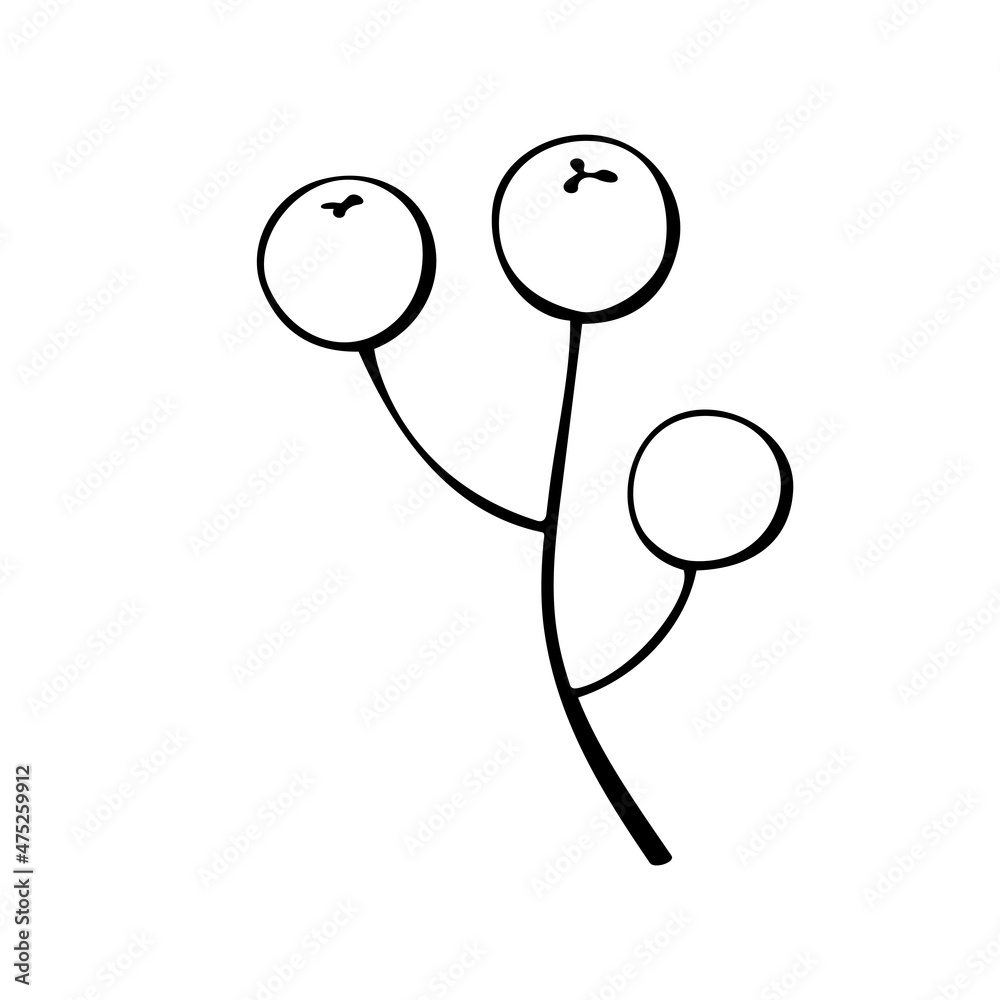 Vector abstract outline twig with berries in doodle style. Botanical clipart, element for the design of postcards, invitations, creating logos or banners Vector abstract outline twig with berries in doodle style. Botanical clipart, element for the design of postcards, invitations, creating logos or banners