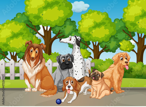 Park nature scene with many different dogs