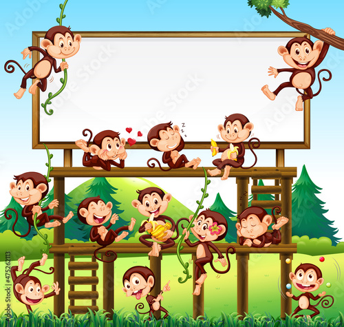 Little monkeys on park background