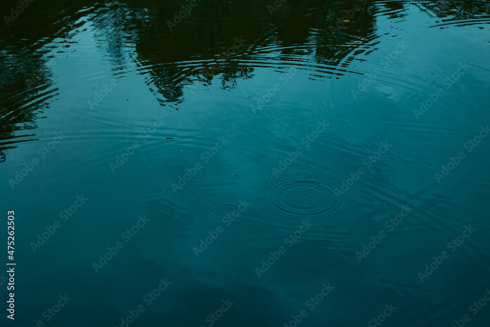 Drop circles. Raindrop circles on the lake in the forest. Moody concept. Drop circles. Raindrop circles on the lake in the forest. Moody concept.
