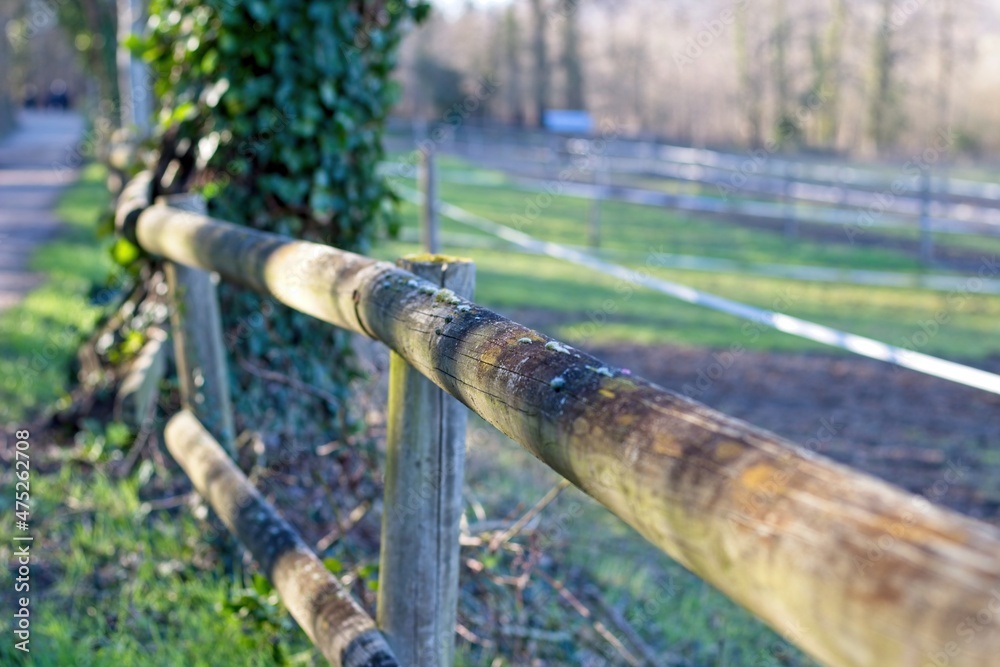 Naklejka premium sprinkler in the park