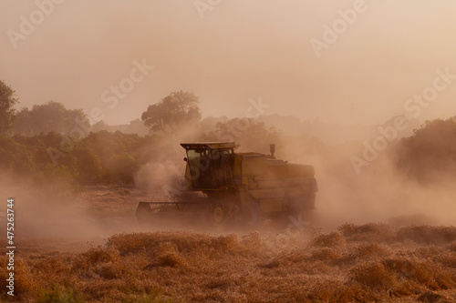 wheat harvesting with combine harvester in Punjab,  wheat crop in wheat fields during harvest season , crops of Punjab  © Tariq