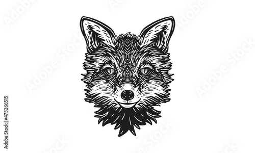 fox logo_isolated