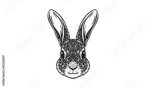 rabbit logo_isolated