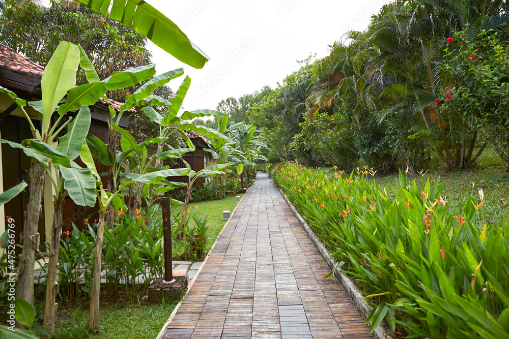Naklejka premium path in the garden ,tropical resort