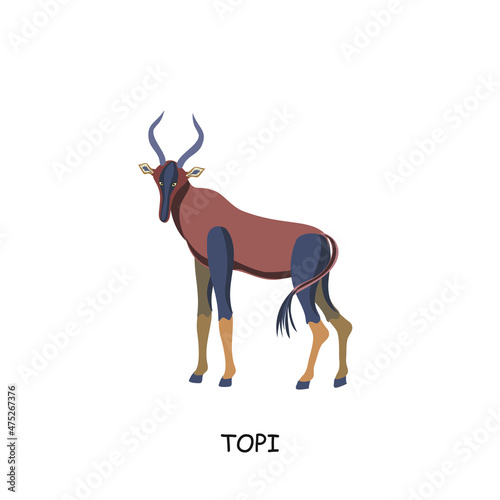 Topi, African animal. Vector illustration isolated on white background.