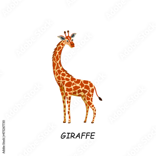 Giraffe  African animal. Vector illustration isolated on white background.