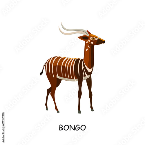 Bongo  African hoofed animal. Antelope. Vector illustration isolated on white background.