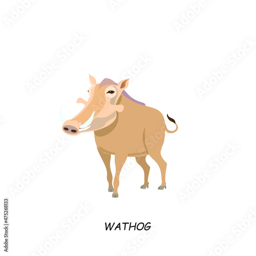 Wathog. African animal. Vector illustration isolated on white background.