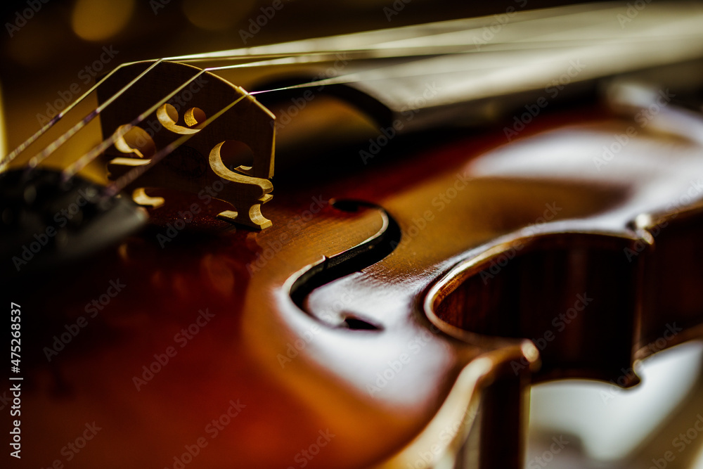 Fototapeta Closeup shot of a violin
