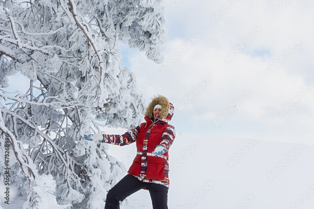 Young woman snow forest. A beautiful brunette enjoys the first fluffy clean snow near a snow-covered coniferous tree. . A magical journey. The concept of winter mood, joy, fun, naivety of simplicity Young woman snow forest. A beautiful brunette enjoys the first fluffy clean snow near a snow-covered coniferous tree. . A magical journey. The concept of winter mood, joy, fun, naivety of simplicity