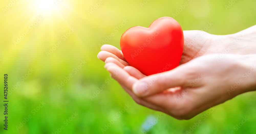Woman hands holding red heart shape on the green grass background. Woman hands holding red heart shape on the green grass background.