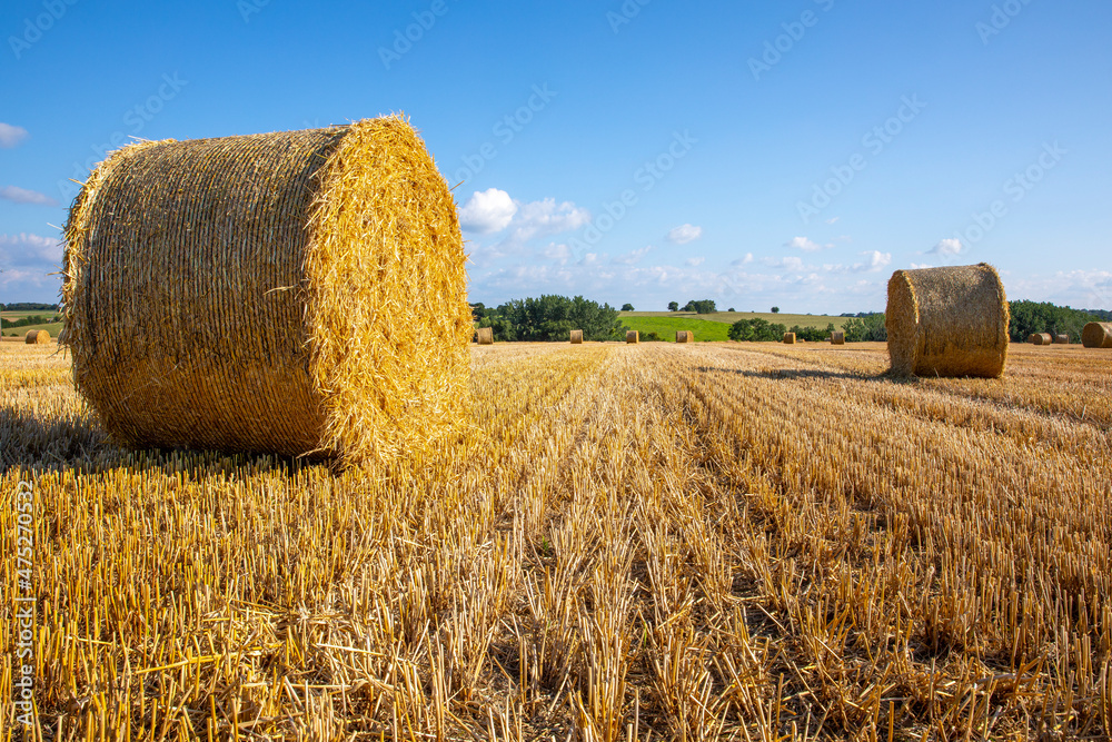Paysage agricole après la moisson des blés en été.