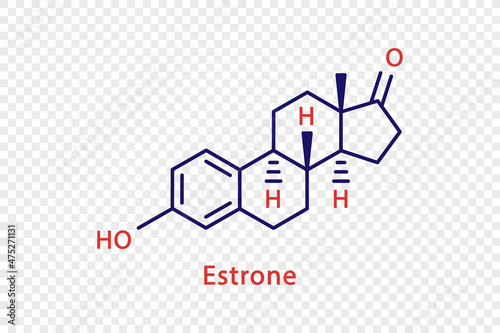 Estrone chemical formula. Estrone structural chemical formula isolated on transparent background.