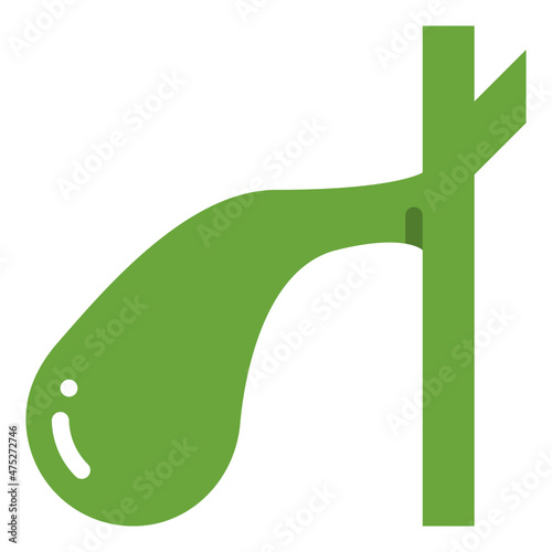 gallbladder flat icon