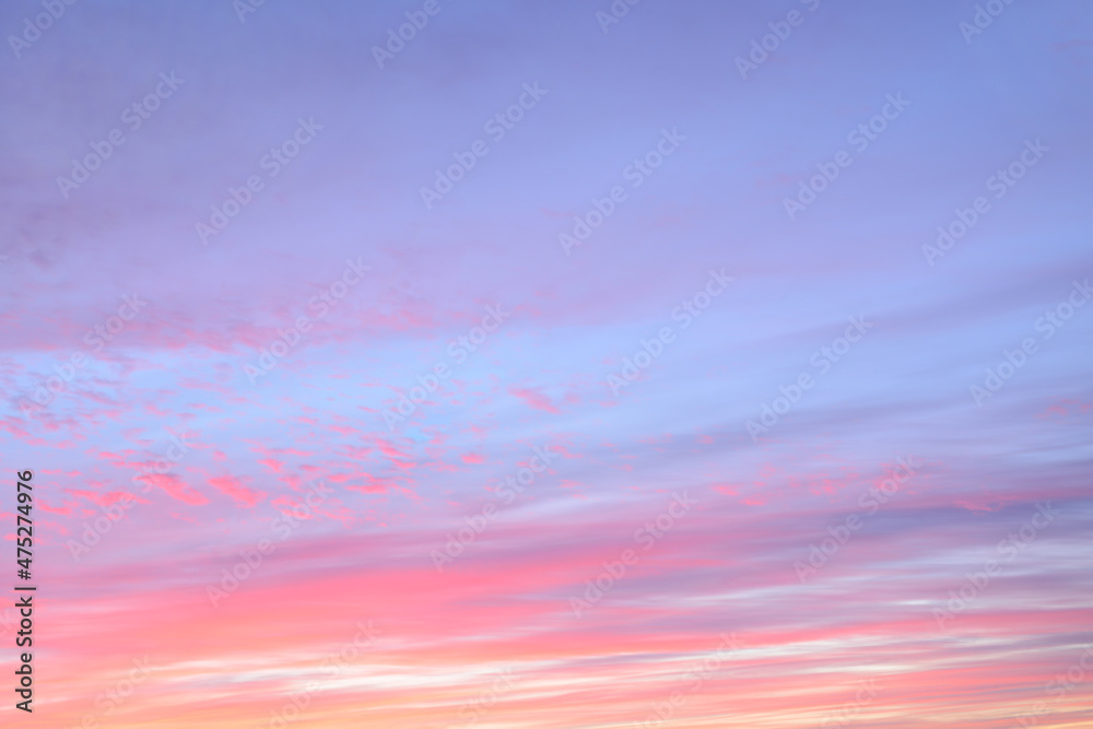 Beautiful sky, purple, violet, pink, coral, orange, cream vanilla colours. Cirrus clouds morning sky