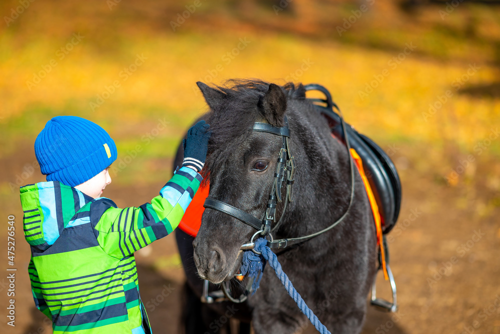 Obraz premium A little boy 5-6 years old in a green striped jacket strokes a pony's mane. A brown pony is watching a child. The kid thanks the horse for the friendship and the ride.