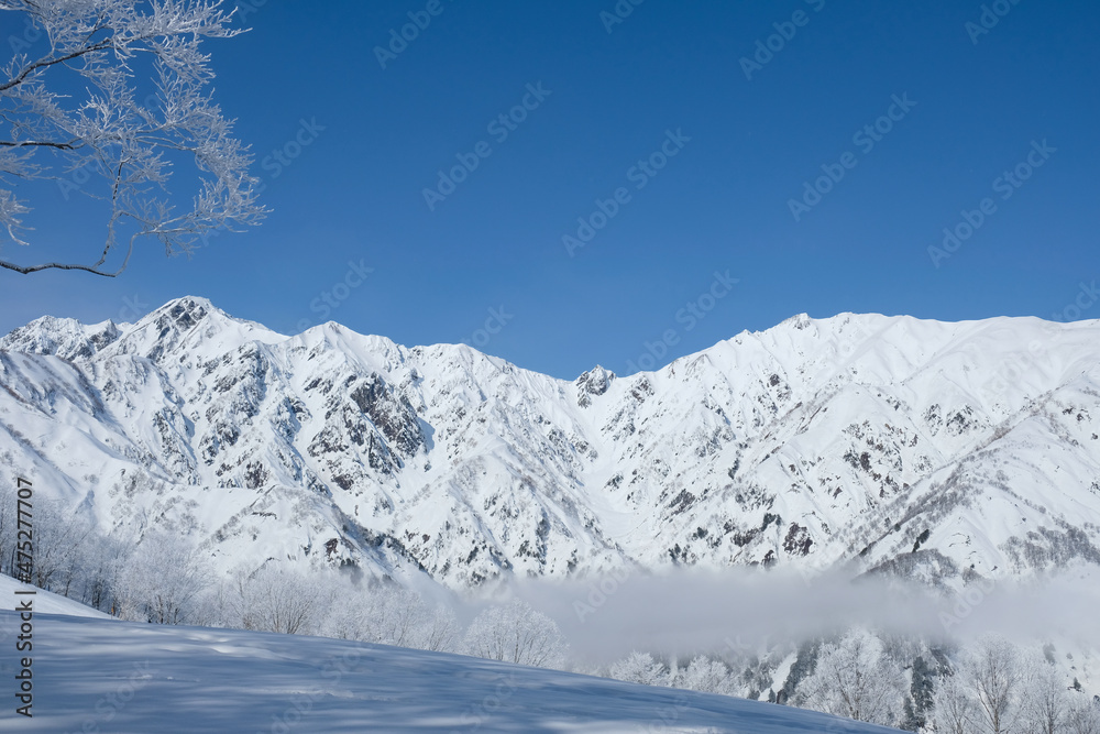 冬山の風景