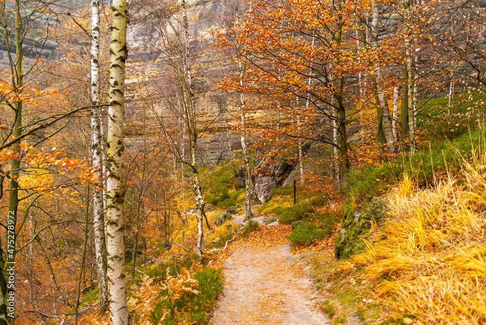 An autumn road through a national park. Trees and leaves. Golden autumn. Forest landscape. An autumn road through a national park. Trees and leaves. Golden autumn. Forest landscape.