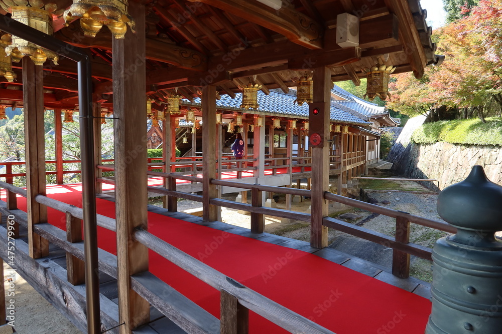 Connecting corridors and autumn leaves in the precincts of Komyo-ji Temple in Nagaokakyo City in Kyoto prefecture in Japan 日本の京都府長岡京市にある光明寺境内の渡り廊下 Connecting corridors and autumn leaves in the precincts of Komyo-ji Temple in Nagaokakyo City in Kyoto prefecture in Japan 日本の京都府長岡京市にある光明寺境内の渡り廊下
