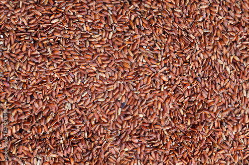 raw uncooked red rice, unpeeled