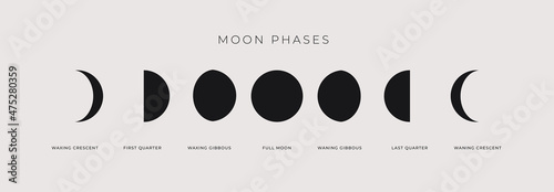 Phases of the waxing and waning moon on a light background. The whole cycle is from new moon to a full moon. Astronomy and lunar calendar vector illustration.