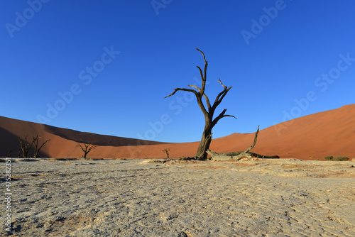 Deadvlei is located near the famous salt pan of Sossusvlei, inside the Namib-Naukluft Park in Namibia