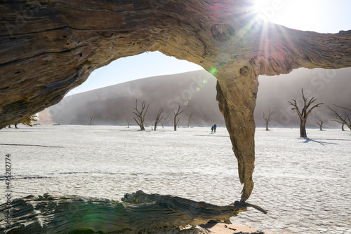 Deadvlei is located near the famous salt pan of Sossusvlei  inside the Namib-Naukluft Park in Namibia