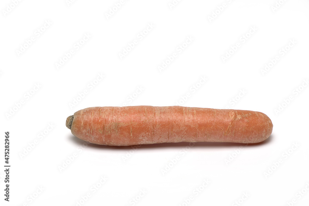 one orange carrot isolated on white background one orange carrot isolated on white background