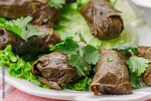 dolma on lettuce leaves with herbs.
