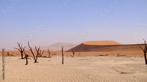 Cuadro en lienzo Deadvlei is located near the famous salt pan of Sossusvlei, inside the Namib-Nau