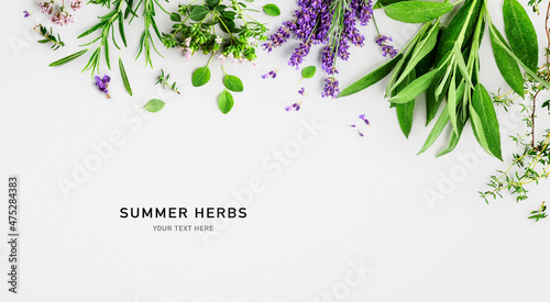 Rosemary, lavender, marjoram, sage and thyme composition photo