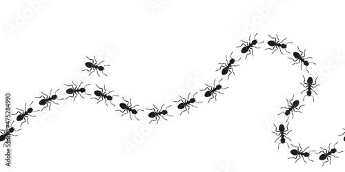 Ant trail seamless pattern. A line of marching ants. Vector illustration on white background 