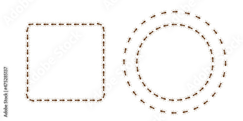 Ant trail square and circle shape. Frame from brown ants. Illustration on white background
