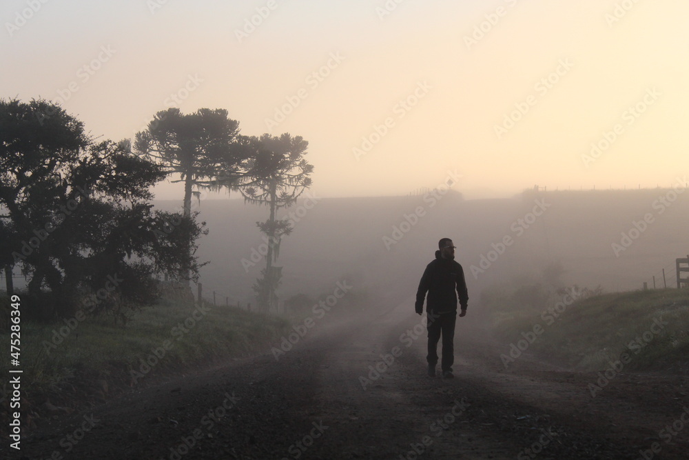turista caminhando enter árvores em amanhecer com neblina 