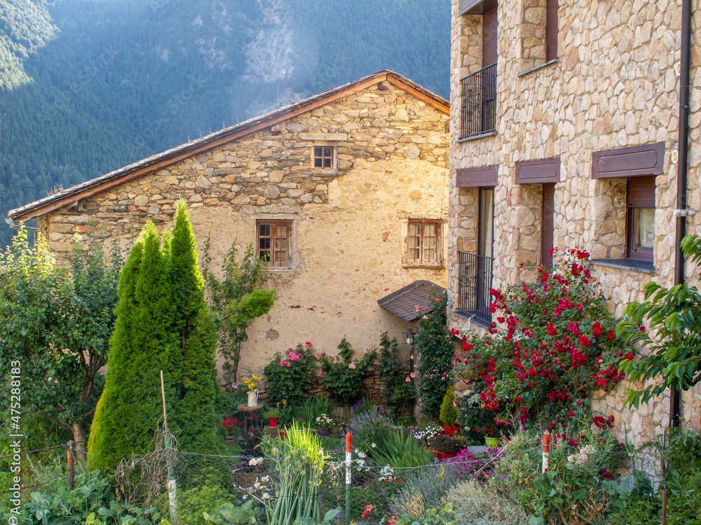 Fototapeta premium Corners with flowers