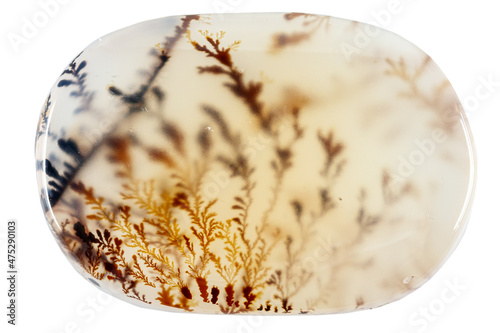 macro mineral stone Agata muschiata on a white background close-up photo