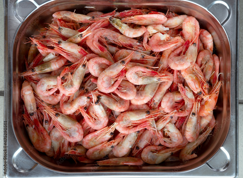 Pink fresh frozen shrimps with ice in supermarket or fish shop. Uncooked seafood close up background. Fresh frozen prawns, delicacies, sea food concept, close up.