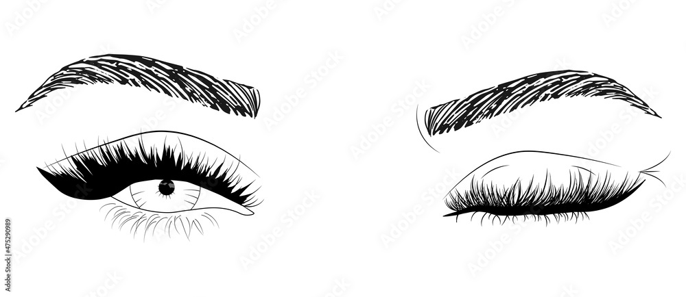 Fototapeta premium Hand drawn woman's sexy makeup look with perfectly shaped eyebrows and lashes. Vector illustration for business visit card, typograph, print. Perfect salon look.
