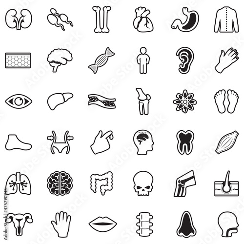 Human Anatomy Icons. Line With Fill Design. Vector Illustration.