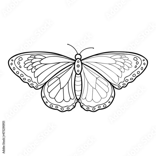 Coloring book or page for kids. Butterfly black and white vector