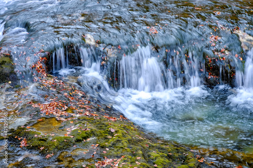 Fall forest in the Ordesa y Monte Perdido national park