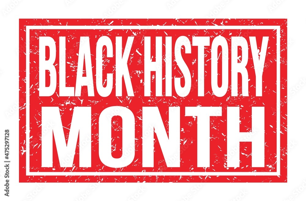 BLACK HISTORY MONTH, words on red rectangle stamp sign BLACK HISTORY MONTH, words on red rectangle stamp sign