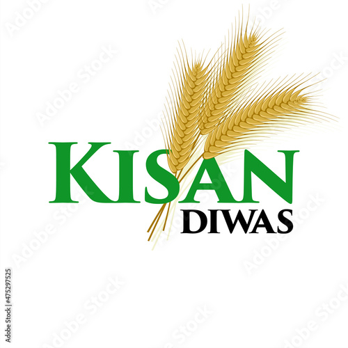 Hindi Typography - Kisan Diwas means Farmers Day. Conceptual Greeting Card for National Farmers Day, 23 December. Editable Illustration.