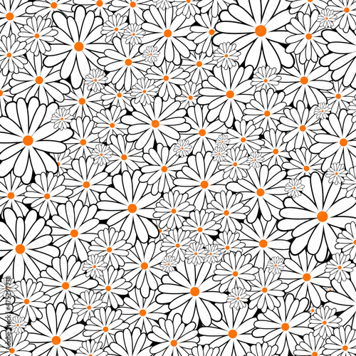Fényképezés Daisy Flower Surface Background Pattern