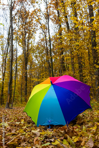 Colorful umbrella lying on yellow leafs in autumn day