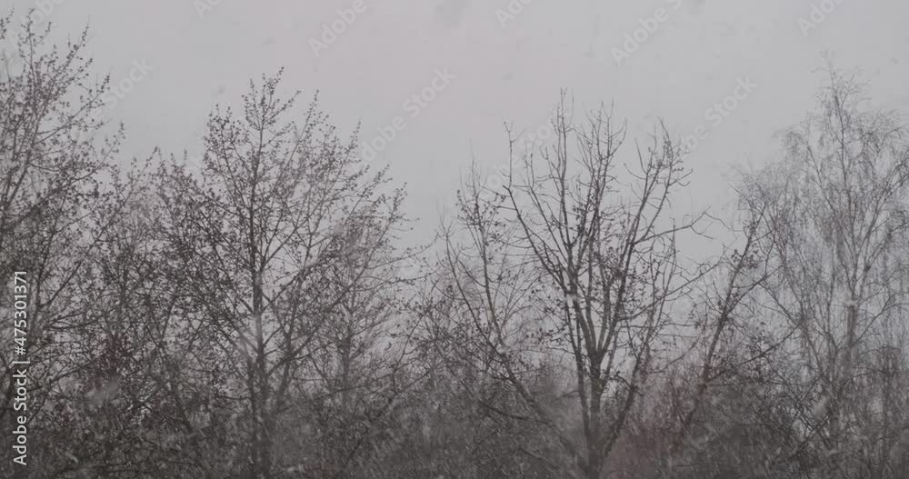 first snow falls outside the window on a cloudy day first snow falls outside the window on a cloudy day