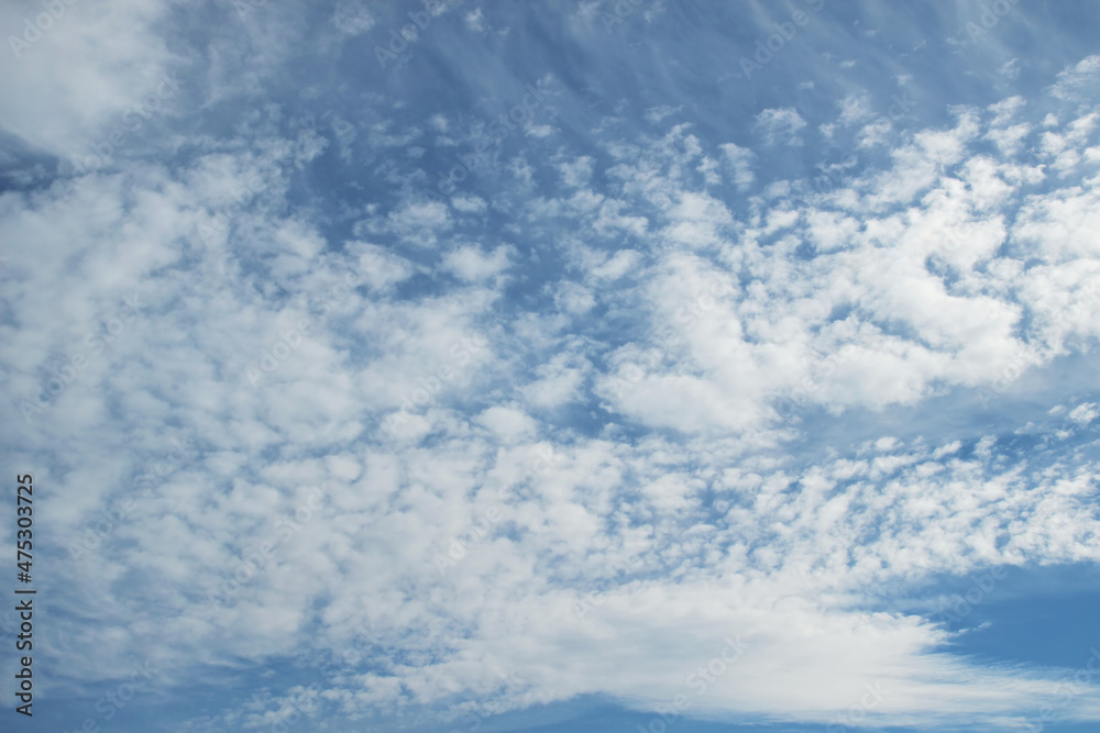 Fototapeta premium white clouds in the blue sky