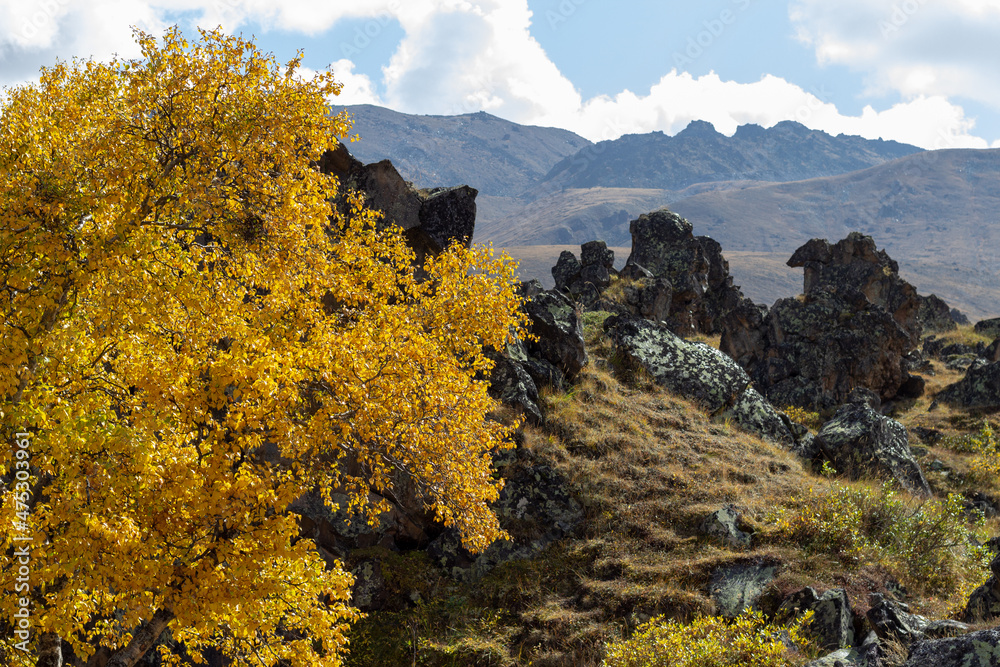 Obraz premium autumn landscape in the mountains