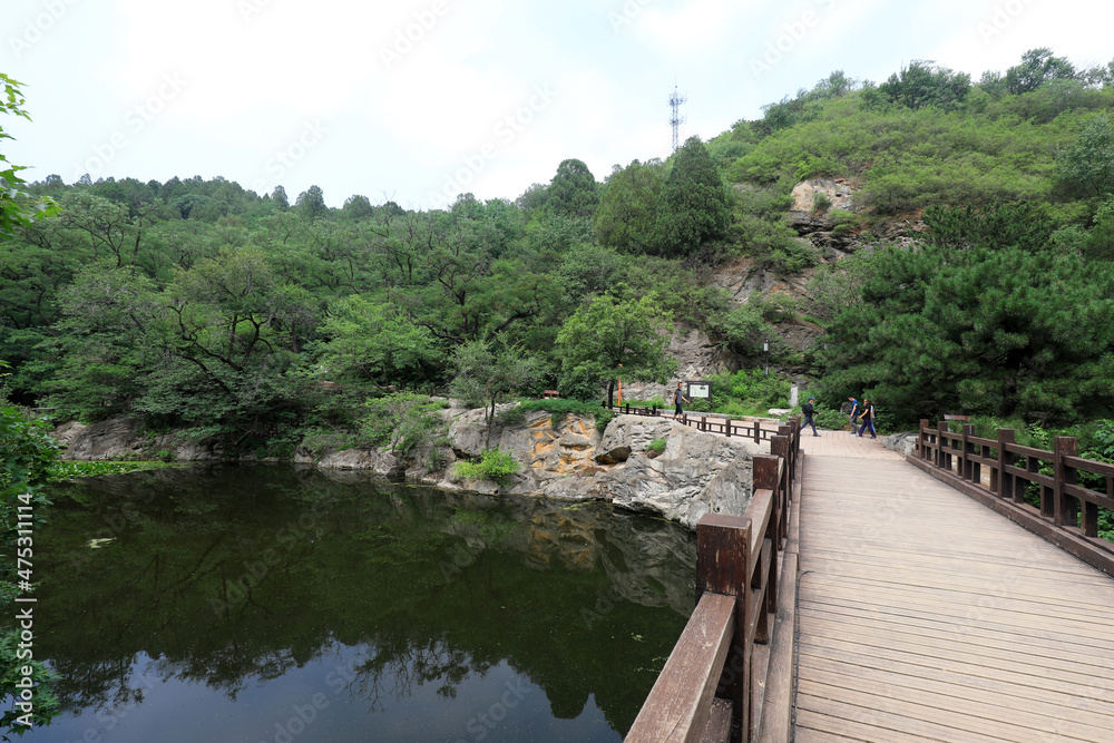 Cherry valley scenic spot, Beijing Botanical Garden, natural scenery, China